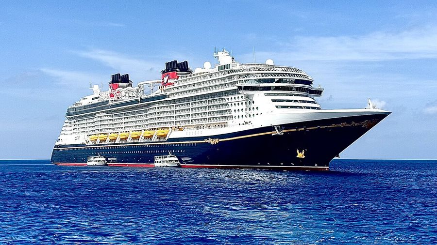 Disney Treasure